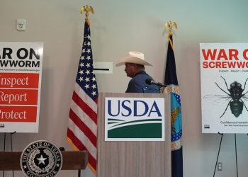 Screwworm spread tests US readiness after Trump staffing cuts