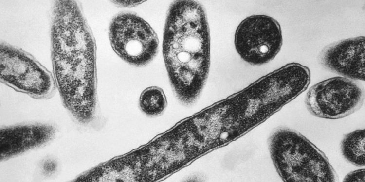 Third person dies amid NYC Legionnaires’ outbreak, officials say