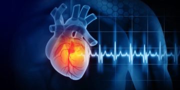 Study finds alarming level of microplastics in heart attack patients’ blood