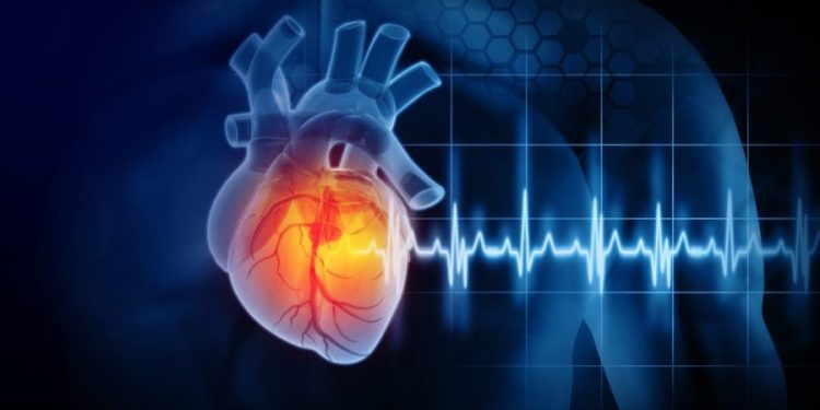 Study finds alarming level of microplastics in heart attack patients’ blood