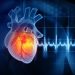 Study finds alarming level of microplastics in heart attack patients’ blood