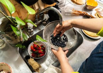 Can vinegar kill cyclospora? How to wash produce amid parasite outbreak