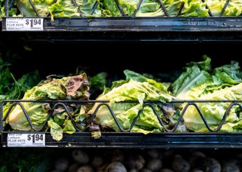 Vegetable supplier Taylor Farms to pull some products amid cyclosporiasis outbreak