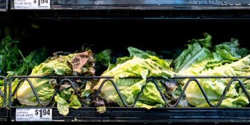 Vegetable supplier Taylor Farms to pull some products amid cyclosporiasis outbreak