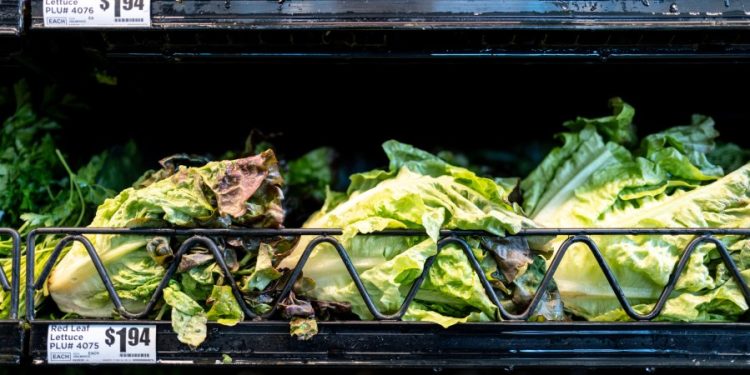 Vegetable supplier Taylor Farms to pull some products amid cyclosporiasis outbreak
