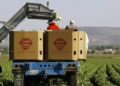Are the Taylor Farms recalls connected?