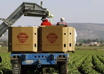 Are the Taylor Farms recalls connected?