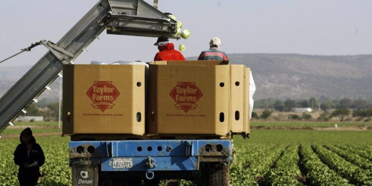 Are the Taylor Farms recalls connected?