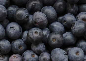 Frozen blueberries recall categorized under FDA’s highest Class I risk level