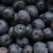 Frozen blueberries recall categorized under FDA’s highest Class I risk level