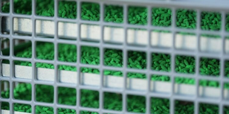 Texas sterile fly facility set for spring opening