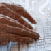 AI used to create synthetic virus