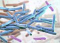 Leprosy cases climb in Florida: Here’s how to reduce your risk