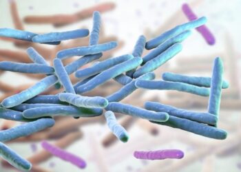 Leprosy cases climb in Florida: Here’s how to reduce your risk