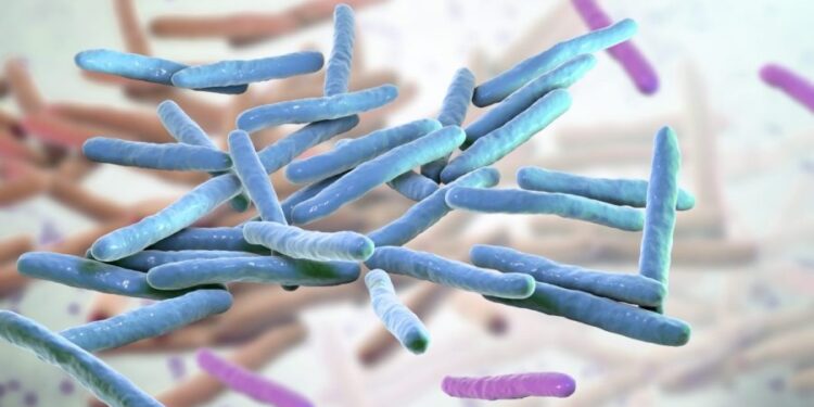 Leprosy cases climb in Florida: Here’s how to reduce your risk