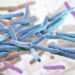 Leprosy cases climb in Florida: Here’s how to reduce your risk