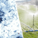 Officials widen lettuce-linked cyclospora outbreak probe to 20 states