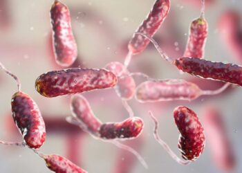 Why are flesh-eating bacteria expanding beyond traditional hotspots?