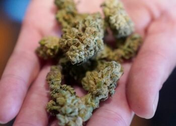 More frequent marijuana users being treated with nausea and vomiting condition: Report