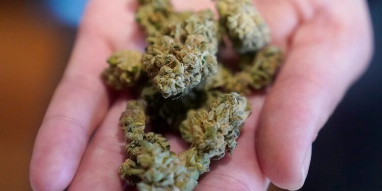 More frequent marijuana users being treated with nausea and vomiting condition: Report