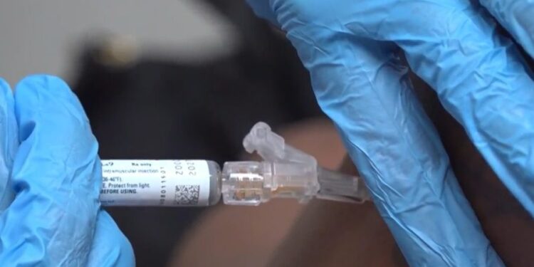 Leading medical groups update flu, COVID vaccine recommendations amid confusion