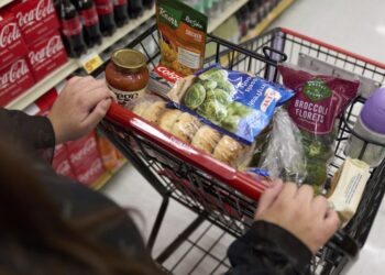 New SNAP benefit amounts take effect Oct. 1: Here’s how much
