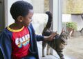 Study links cats to more anxiety, behavioral issues in young kids