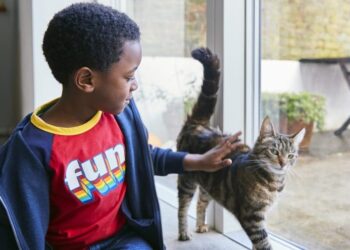 Study links cats to more anxiety, behavioral issues in young kids