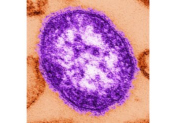 Pennsylvania reports sixth measles death